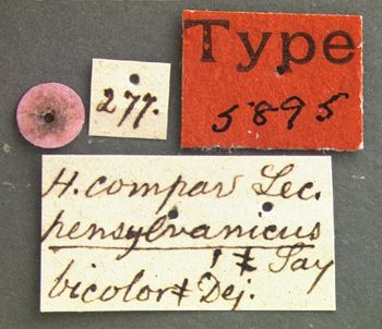 Media type: image;   Entomology 5895 Aspect: labels